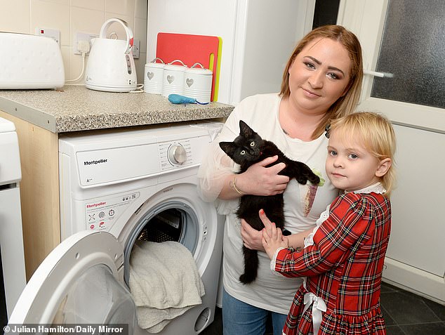 Kitten’s Miracle: Posey Survives 20 Minutes in Washing Machine Thanks to Owner’s Life-Saving CPR