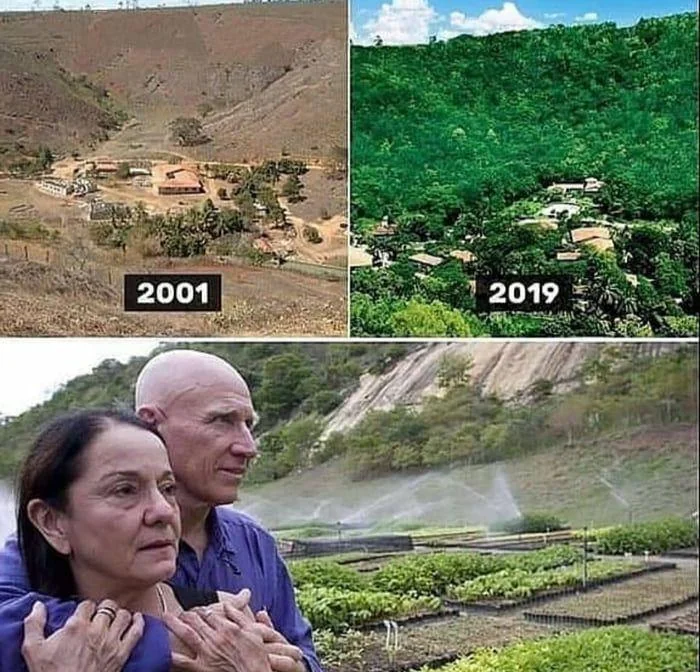 Couple in Brazil Planted More Than 2M Trees in 20 Years To Recreate Forest?