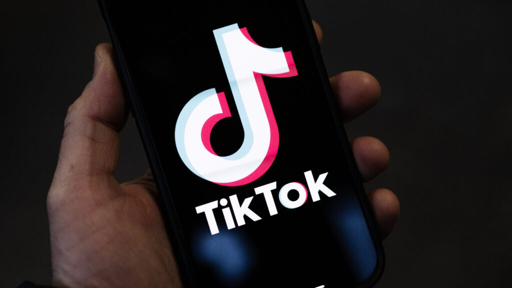 TikTok, Court , Election