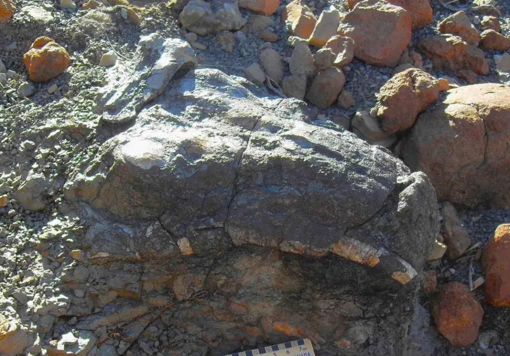 San people ,Horned Serpent Panel, rock painting , southern Africa