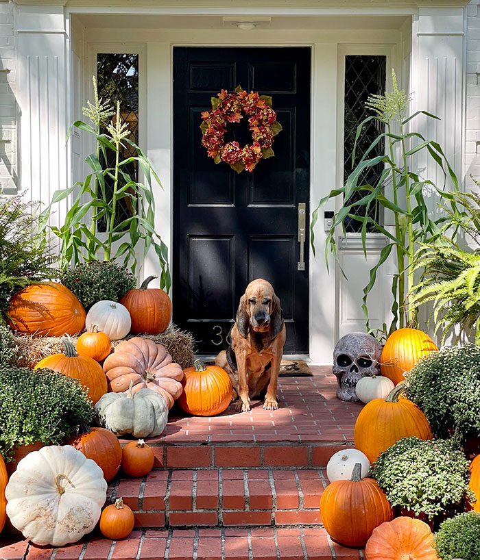 Texas ,Mom, Pumpkin, $1,000, Halloween