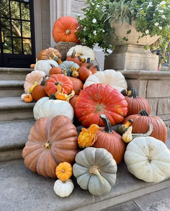 Texas ,Mom, Pumpkin, $1,000, Halloween